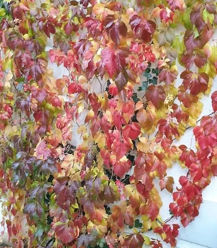 Haus Rotspitze Appartamento